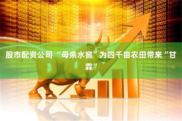 股市配资公司 “母亲水窖”为四千亩农田带来“甘霖”